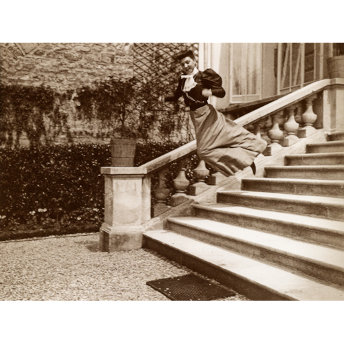 Cousin Bichonade in Flight